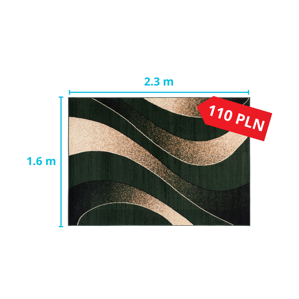 Pranie dywanu 2.3x1.6m za 110 zł