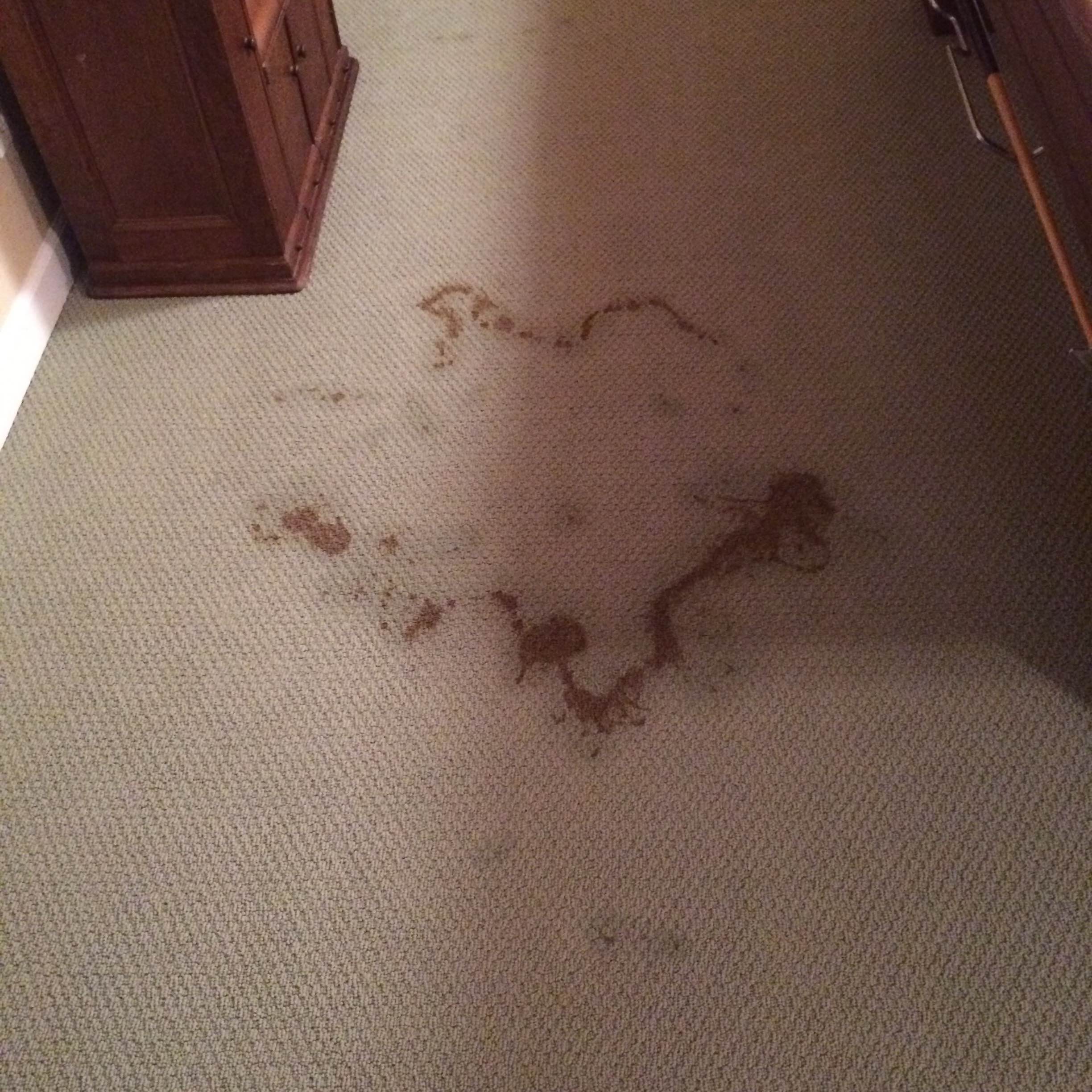 Dywan przed praniem — widoczne plamy i zabrudzenia