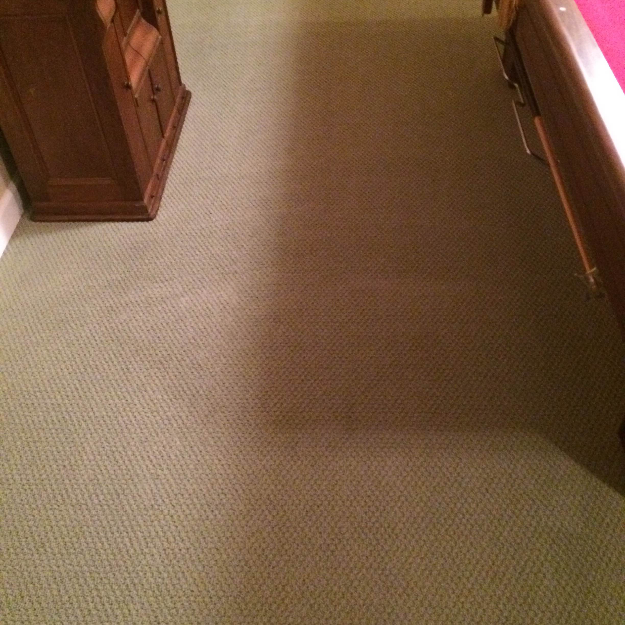 Dywan po profesjonalnym praniu — czysty i odświeżony