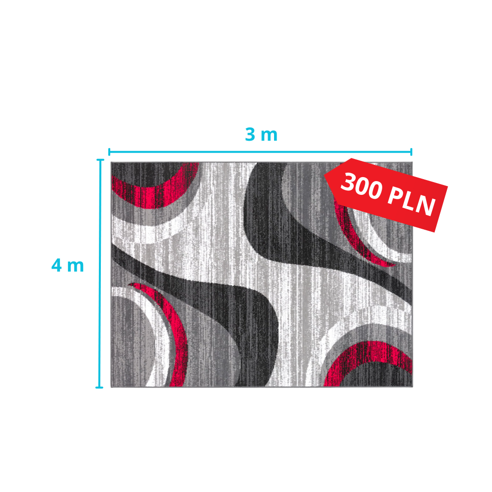 Pranie dywanu 3x4m za 300 zł - pralnia dywanów Gorzów