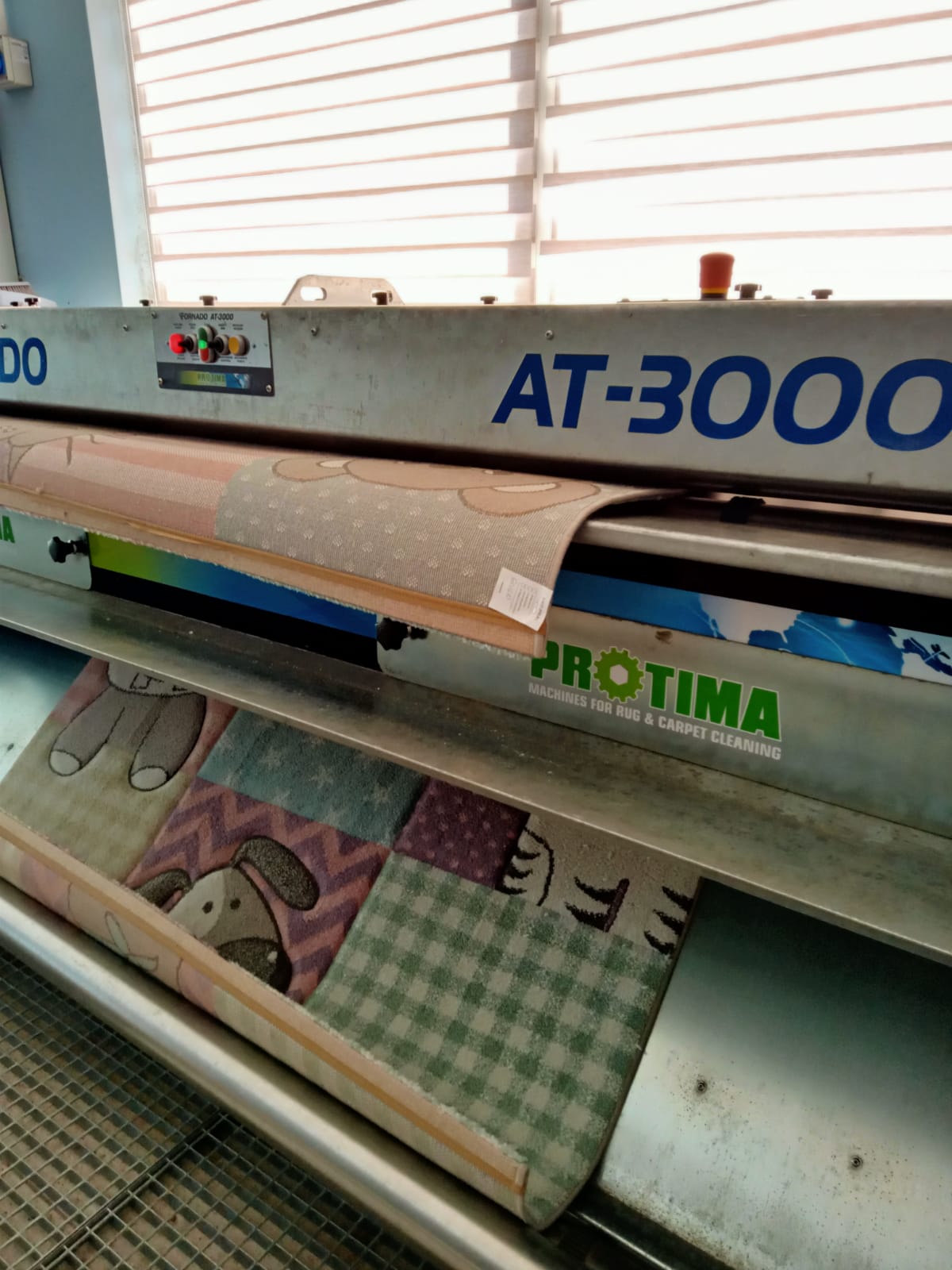 Profesjonalne pranie dywanów Gorzów Wielkopolski