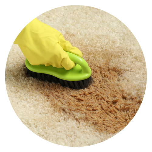 Rękawica Raypath do usuwania plam z dywanu